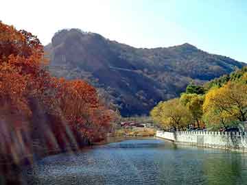 新澳天天开奖资料大全旅游团，养羊的利润